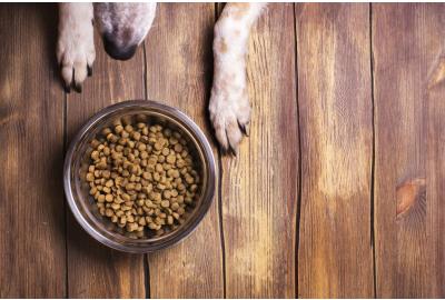 You Should Be Rotating Your Dog's Food
