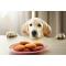 Help Your Pet Keep The Weight Off With Proper Nutrition