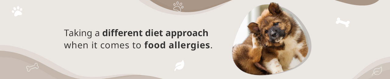 Dog Food for Allergies